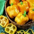 Pepper Early Sunsation 100 seeds