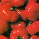 Tomato Costoluto Fiorentino 250 seeds