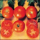 Tomato Czech's Bush 250 seeds