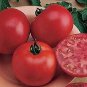 Tomato Early Boy Bush 250 seeds
