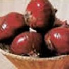 Onion Red Burgundy 1,000 seeds