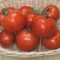 Tomato Manitoba 250 seeds