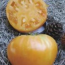 Tomato Oxheart Orange 250 seeds