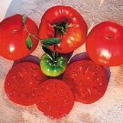 Tomato Crnkovic Yugoslavian 250 seeds