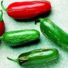 Pepper Hot Tam Jalapeno 250 seeds
