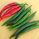 Pepper Hot Goat Horn 250 seeds