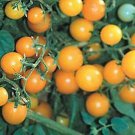Tomato Currant Yellow 250 seeds
