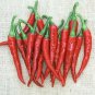 Pepper Hot Ring of Fire 250 seeds