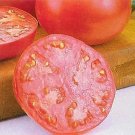 Tomato Pink Girl 250 seeds