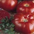 Tomato Marmande Paris 250 seeds