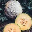 Cantaloupe Fastbreak 100 seeds