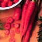 Carrot Nutri Red 500 seeds