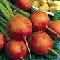 Beets Golden Detroit 250 seeds