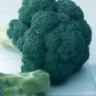 Broccoli Premier 500 seeds