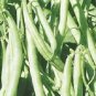 Bean Kentucky Wonder Green (Pole) 250 seeds
