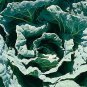 Collards Morris ing 1,000 seeds