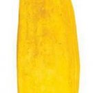 Cantaloupe Banana 250 seeds
