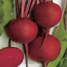 Beets Detroit Dark Red 500 seeds
