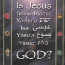 Dr Malachi Z York: Is Jesus God?