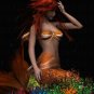 Siren