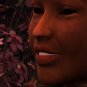Dryad