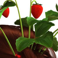 Berry Fairy