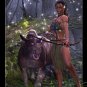 The Huntress