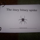 Itsey Spider autism pecs speech delay prek