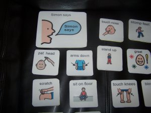 Simon Says autism pecs speech delay
