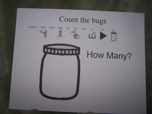 Count the bugs Autism Educational