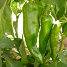 Anaheim Chile Hot Pepper Seeds, NON-GMO, Variety Sizes, Chili, FREE SHIPPING
