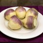 Laurentian Rutabaga Seeds, NON-GMO, Swedes, Canadian Turnips, FREE SHIPPING