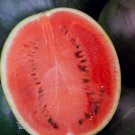 Black Diamond Watermelon Seeds, NON-GMO, Large Watermelon, FREE SHIPPING