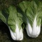 Pak Choi White Stem Chinese Cabbage Seeds, NON-GMO, Variety Sizes, FREE SHIPPING