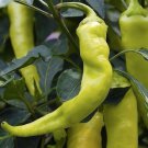 Sweet Banana Pepper Seeds, NON-GMO, Greek Salad, Banana Chili, FREE SHIPPING