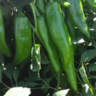 NM 6-4 Heritage Chili Pepper Seeds, NuMex, Mild Green Chile, Ristra, FREE SHIP