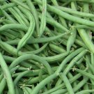 Burpee Stringless Green Bean Seeds, NON-GMO, Variety Sizes Sold, FREE SHIPPING