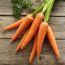 Little Fingers Carrot Seeds, Baby Carrot, Nantes Type, NON-GMO, FREE SHIPPING