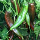 Joe E. Parker Chili Pepper Seeds, NON-GMO, NUMEX, Chile, Chiles Rellenos