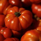 Costoluto Genovese Tomato Seeds, 30 Seeds, BUY 2 GET 1 FREE, NON-GMO, FREE SHIP
