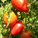 Pink Oxheart Tomato Seeds, 30 Seeds, BUY 2 GET 1 FREE, NON-GMO, FREE SHIPPING