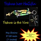 Inspirational Key Chains - Yeshua Hoo HaGifin (Yeshua is the Vine)