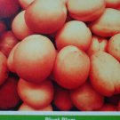 PLUOT / PLUMCOT Fruit Tree Healthy Plum Apricot Trees Natural Plant Home Garden