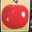 RED ROME APPLE 4-6 FT Fruit Tree Trees Grow Sweet Crispy Apples Garden RED ROME APPLE 4-6 FT Fruit Tree Trees Grow Sweet Crispy Apples Garden