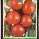RED PLUM 4-6 FT TREE PLANT SWEET JUICY PLUMS FRUIT TREES PLANTS