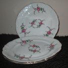 Wawel 6.75" Bread & Butter Plate Poland Floral Rose Garden Gold Trim 3 PIECES
