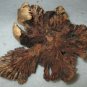 Sea Turtle ~  Hand Carved Parasitic Mushroom Wood Sculpture