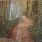 Framed Fine Art Nature Photography Print  MEANDERING BOARDWALK Drake Fleege