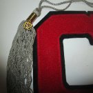 Varsity Lettermans Letters, Cedar Falls, Iowa High School  Class of 62 & Tassle