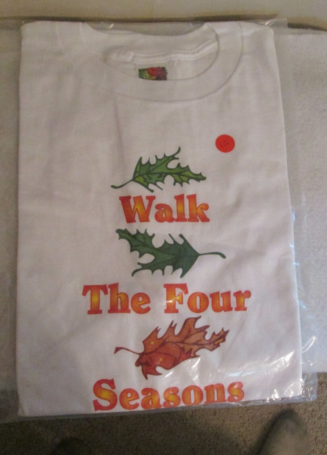 WALK THE FOUR SEASONS t-shirt mens Ladies workout shirt graphic tees fitness L